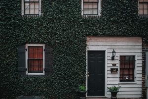 Moss/vine covered home with green door and windows